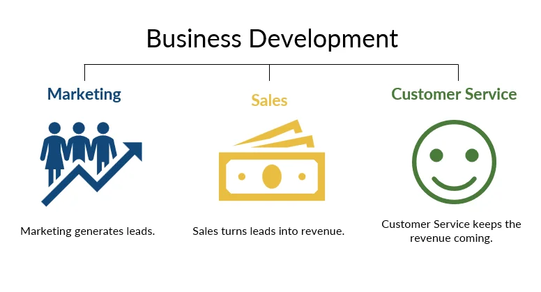 Discover the Non-Negotiable Rules of Business Development