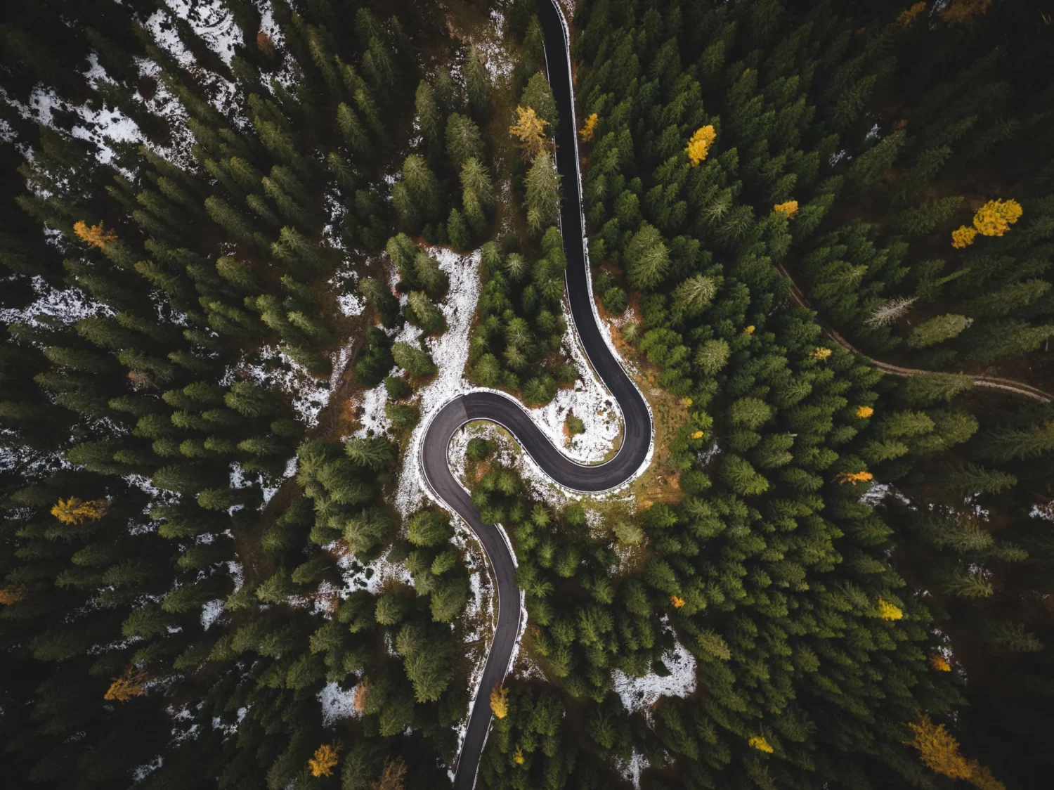 What Is the Buyer's Journey? A Guide to Understanding the Consumer’s Buying Process