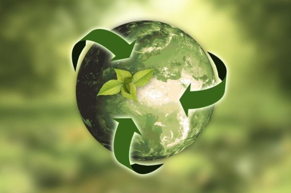 The Impact of Green Marketing Strategies on Consumer Behavior