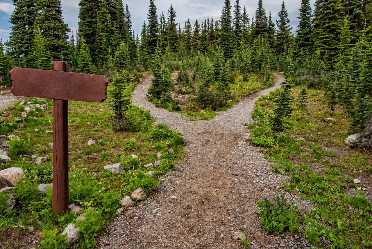 The Path to Understanding 